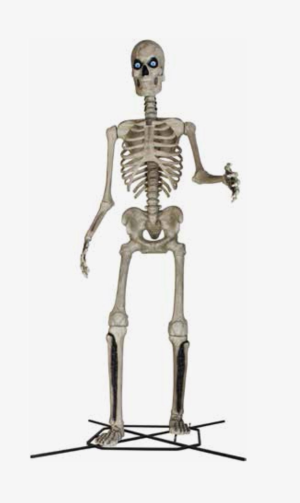 home depot big skeleton 12 foot halloween