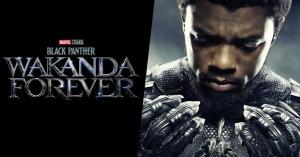 Phaze Zero 2022 MCU Preview: Black Panther Wakanda Forever