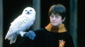 Two New Harry Potter Specials Announced