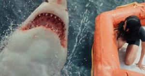 Shark-Themed Thriller Great White Gets Trailer and Poster