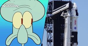 SpaceX: All Those Baby Squid Are Officially in Space