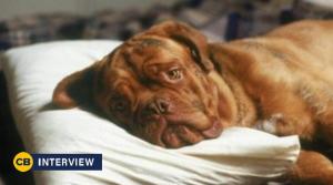 Turner & Hooch Stars Reveal Disney+ Series Won’t End as Tragically as the Movie