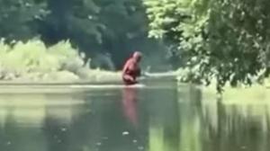 New Bigfoot Sighting in Michigan Has Experts Confused