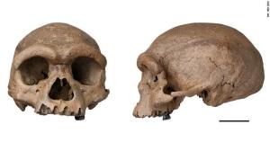 Dragon Man Skull Found In China Raises Massive Questions