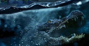 Crawl 2 Director Says They’ve Been Talking About A Sequel Nonstop
