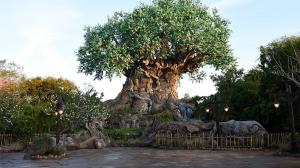 Disney’s Behind the Attraction Director Wants an Animal Kingdom Episode in Season 3