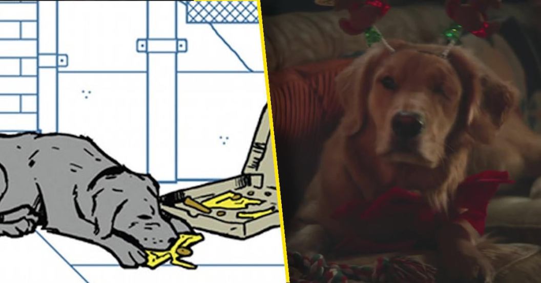 lucky-the-pizza-dog-hawkeye-trailer-fans.jpg