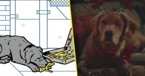 Lucky The Pizza Dog Fans Are Loving His Appearance In the Hawkeye Trailer