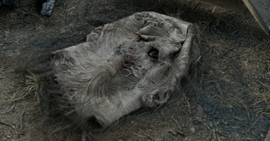How The Whisperers Return on The Walking Dead