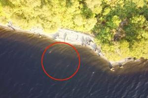 Loch Ness Monster Possibly Spotted In New Drone Footage