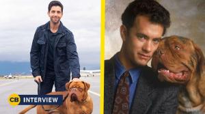 Turner & Hooch: Josh Peck Shares the Hilarious Reason Why a Flashback Season Featuring Tom Hanks Could Work