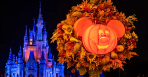 New Walt Disney World Ride Shuts Down Due to Crash