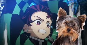 Demon Slayer Cosplay Introduces Canine Tanjiro