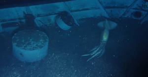 Mysterious Deep-Sea Creature Discovered by Scientists Exploring Shipwreck