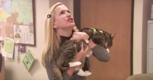The Office Honors Angela’s 17 Cats on National Cat Day