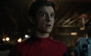 Tom Holland Says Spider-Man Needs A Break With No Cameos