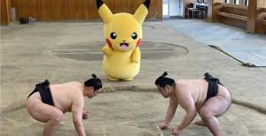 Pokemon Launches Perfect Sumo Team Up