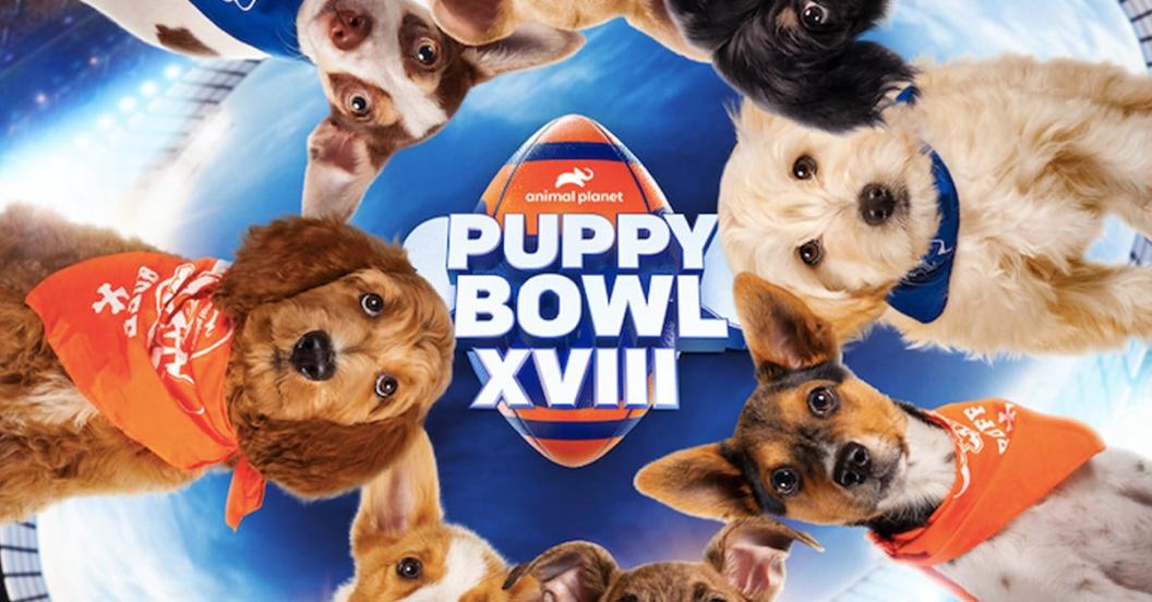 puppy-bowl-2022-details-premiere-streaming-date-time.jpg