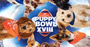 How To Watch Puppy Bowl 2022