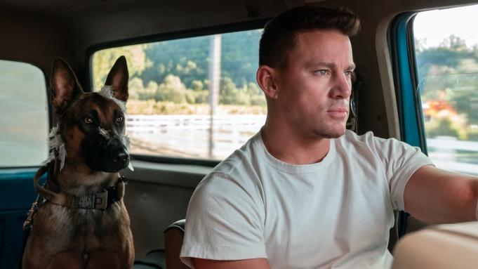 dog-movie-channing-tatum.jpg