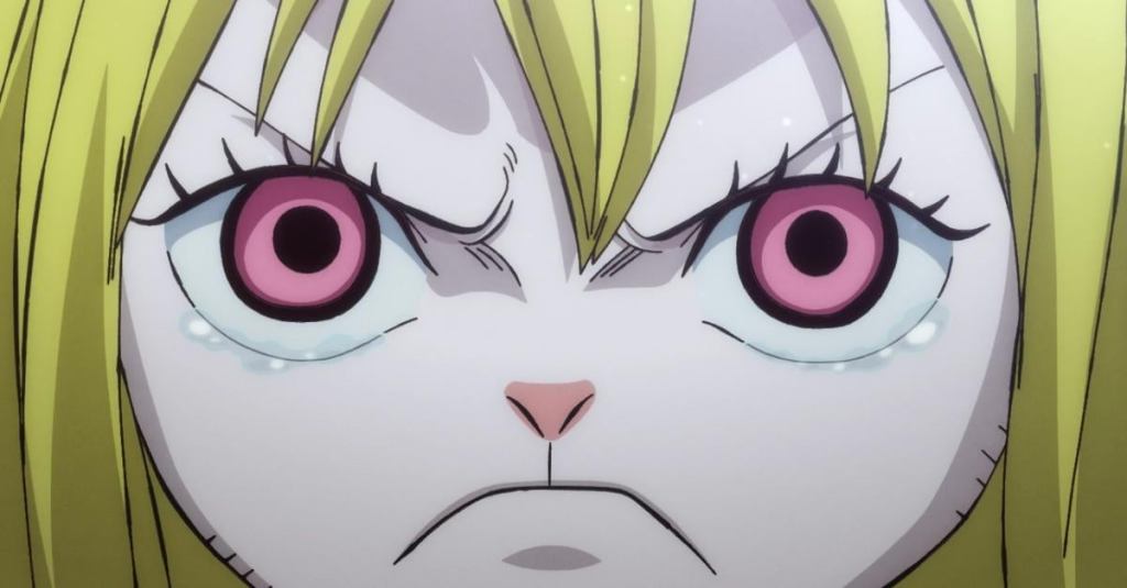one-piece-episode-1009.jpg