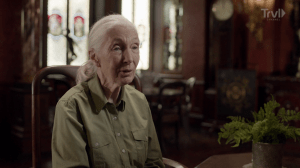 Expedition Bigfoot: Jane Goodall Offers Shocking Information in Season Premiere Clip (Exclusive)