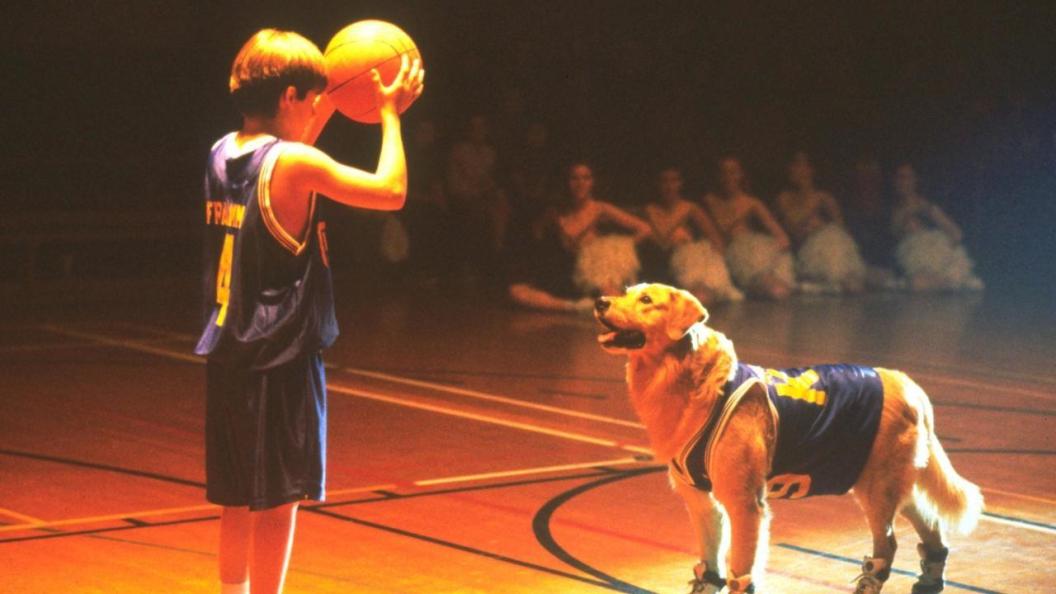 air-bud.jpg
