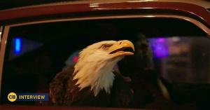 Peacemaker VFX Supervisors Detail Their Favorite Eagly Scenes