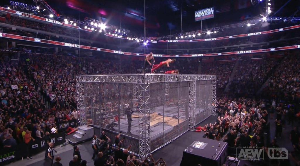 aew-blood-and-guts-cage.jpg