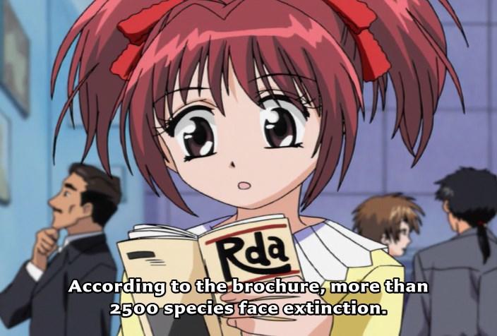mew-mew-1.jpg
