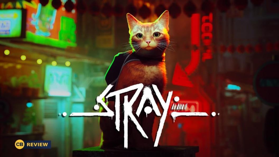 stray-review.jpg
