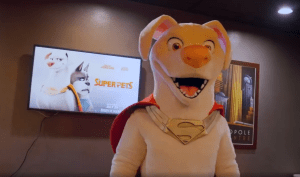 Watch Dwayne Johnson Give Audiences Heartwarming Surprise at DC’s Super-Pets Screening