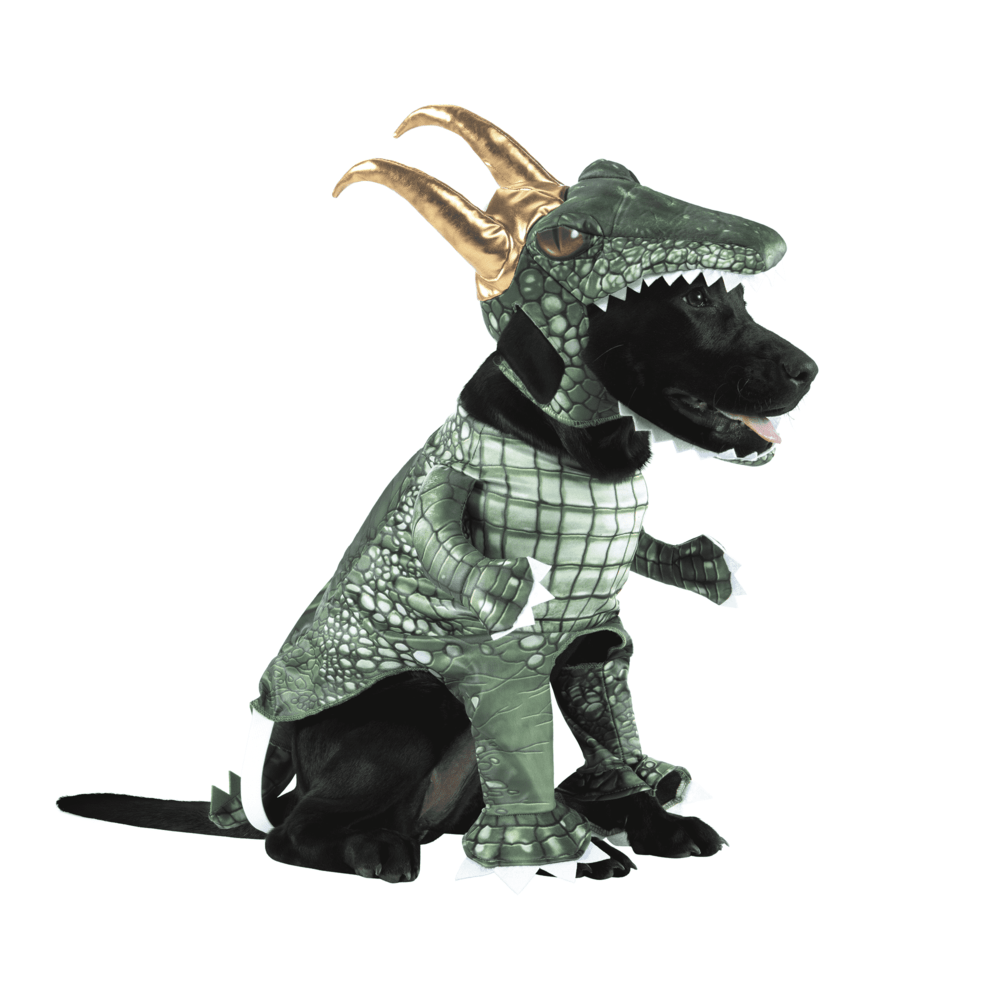 marvel-alligator-loki-dog-walker-costume.png