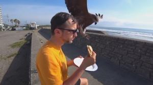 Twitch Streamer Gets Food Stolen by Bird on Stream