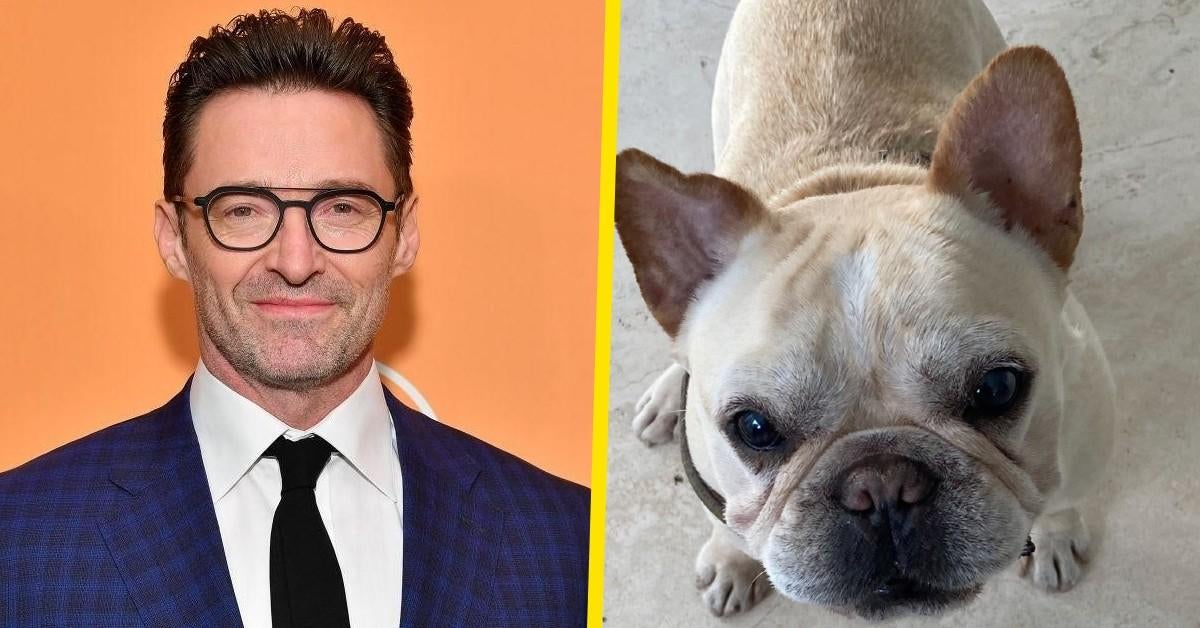 Hugh Jackman Announces the Passing of His Dog Dali(02)