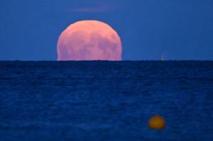 Sturgeon: How to Watch Last Supermoon of the Year