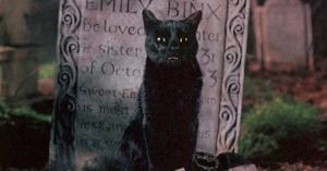 Hocus Pocus 2 Director Teases Honoring Binx in a “Fun” Way