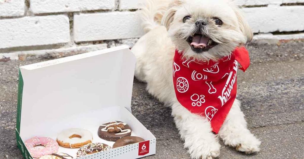 krispy-kreme-national-dog-day.jpg