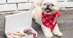 Krispy Kreme Unleashes New Doggie Doughnuts for National Dog Day