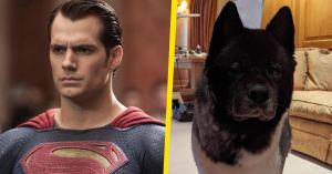 Henry Cavill Reveals His Dog Kal’s Super Power