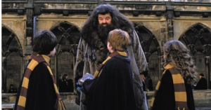 Harry Potter’s Daniel Radcliffe Pays Tribute to Late Hagrid Actor Robbie Coltrane