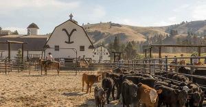 Yellowstone Star Goes Viral Because Thirsty Fans Have No Chill