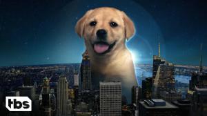 Animal Planet’s Puppy Bowl to Simulcast Across HBO Max, TBS, and More