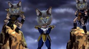 Dragon Ball May Revive One of Its Best Collectibles Soon