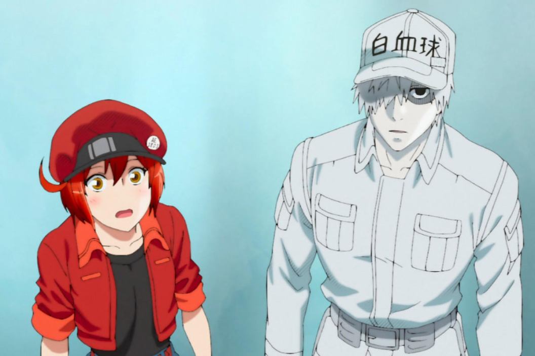 cells-at-work.jpg