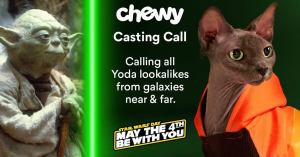 Star Wars: Chewy Launches Yoda Lookalike Contest for Pets