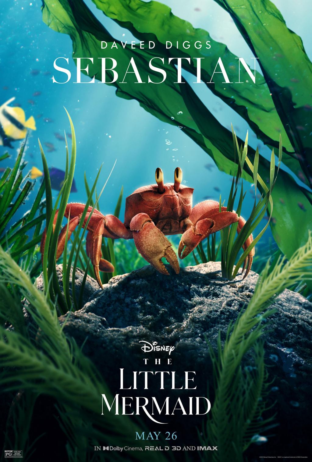 little-mermaid-character-posters-sebastian.jpg