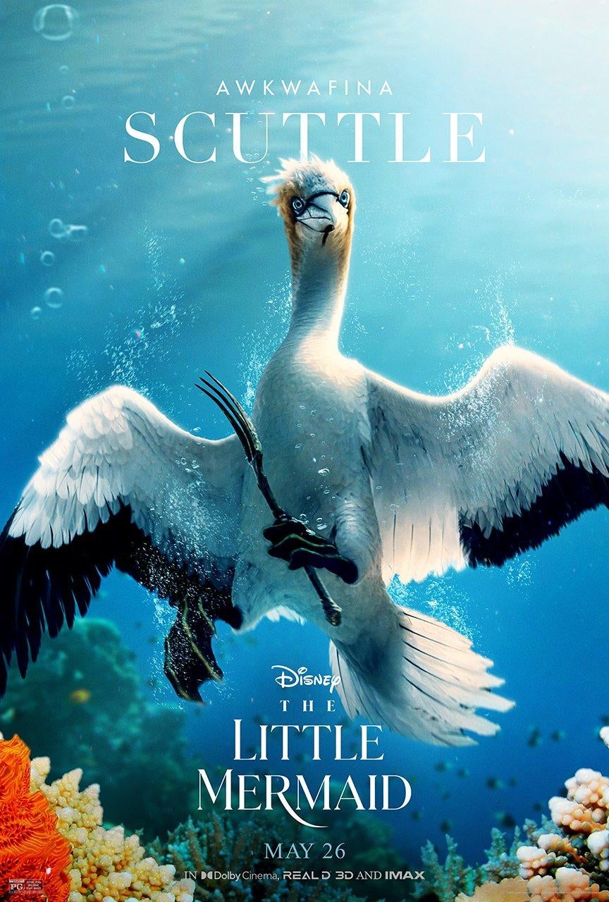 little-mermaid-character-posters-scuttle.jpg