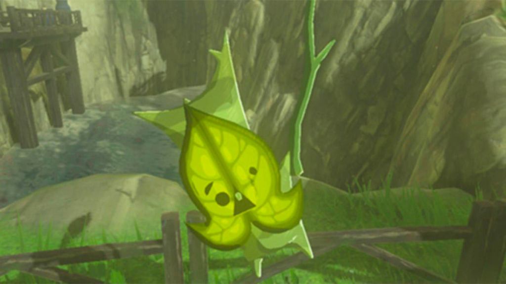 korok-hed.jpg