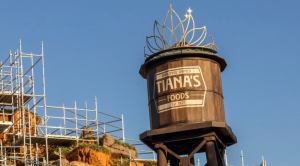 Walt Disney World Unveils Tiana’s Water Tower During Splash Mountain Revamp